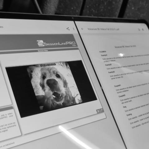 Session Link Remote recording