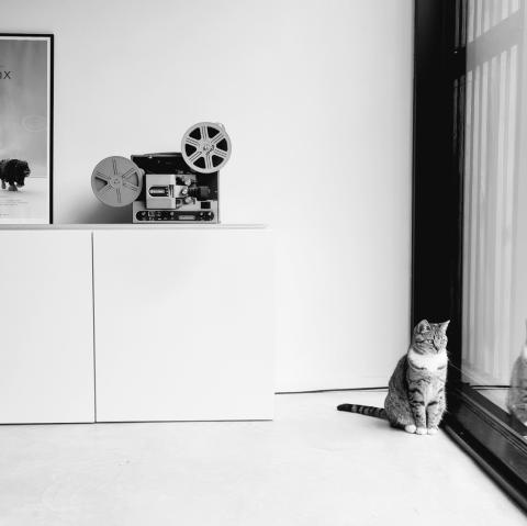 Studio assistant